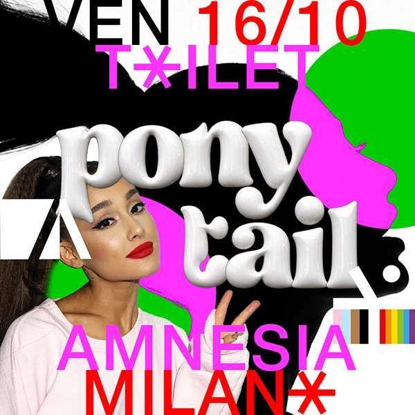Toilet Ponytail