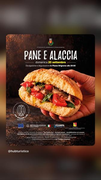 Pane e Alaccia