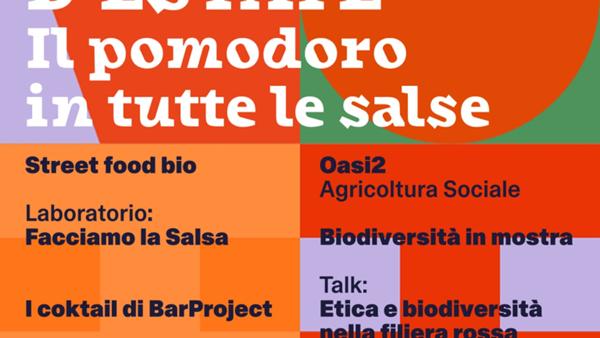Il pomodoro in tutte le salse