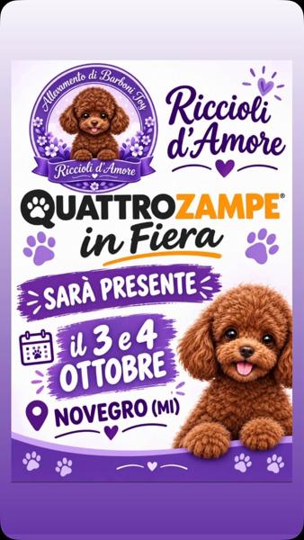Quattrozape in Fiera