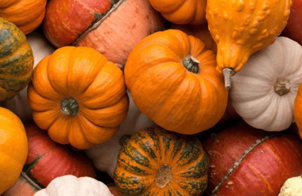 L'aneme de le morte – Sagra della Zucca