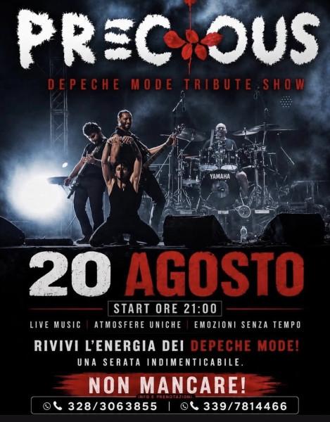 Precious - Depeche Mode Tribute Show