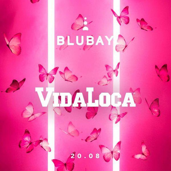 Vidaloca