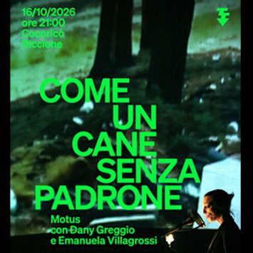 Come un cane senza padrone