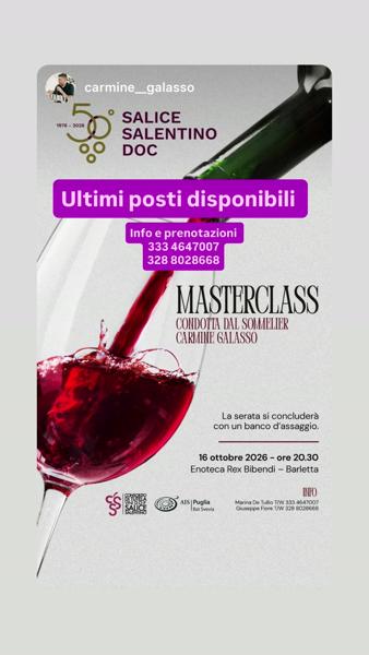 Masterclass Salice Salentino DOC