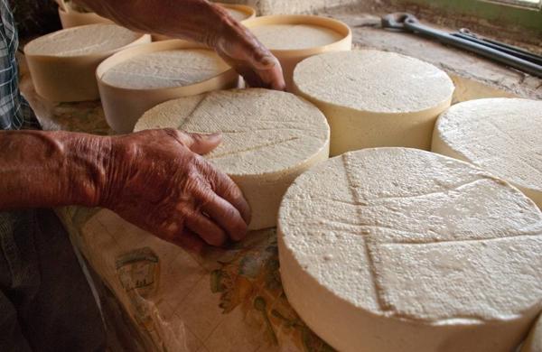 Sagra del Bagòss