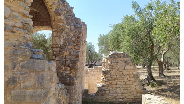 Visite guidate alla scoperta del casale di Balsignano
