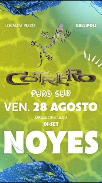 Noyes