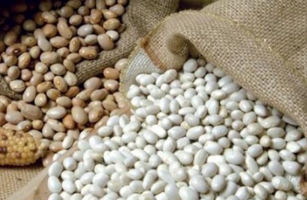 Sagra dei Fagioli