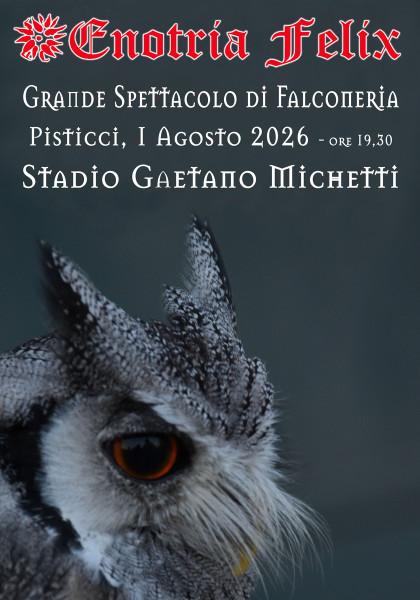 Grande spettacolo di falconeria