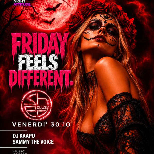 SHED FRIDAY - 30.11.26