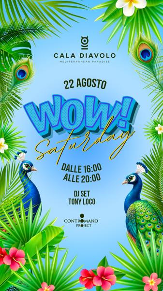 WOW! Saturday