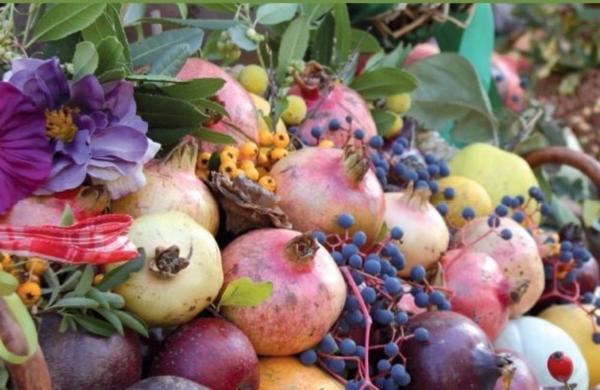 Festa dei frutti dimenticati