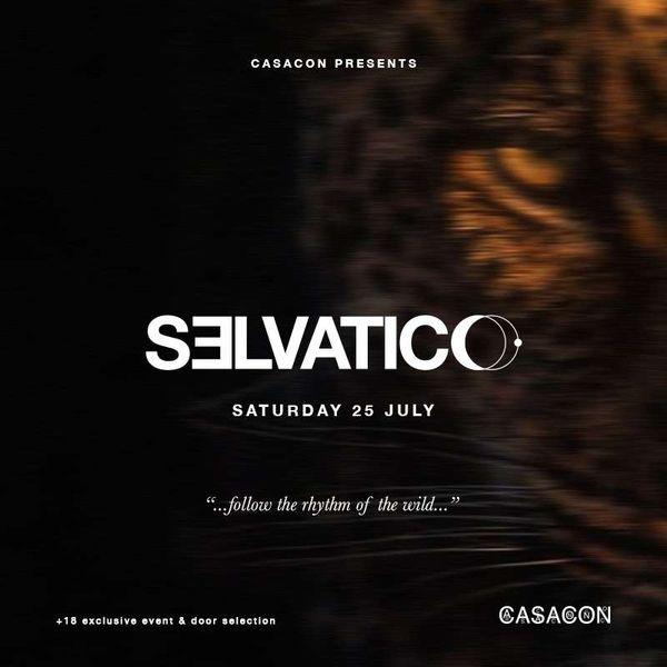 Selvatico - Sirolo