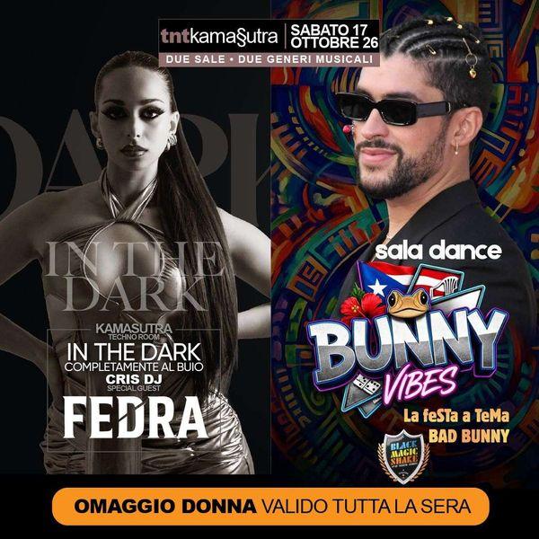 In The Dark + Bunny Vibes