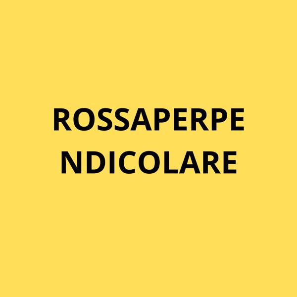 ROSSA PERPENDICOLARE "UN ALTRO MONDO DAVANTI" - LA POSTURA DEL CONSENSO 2026