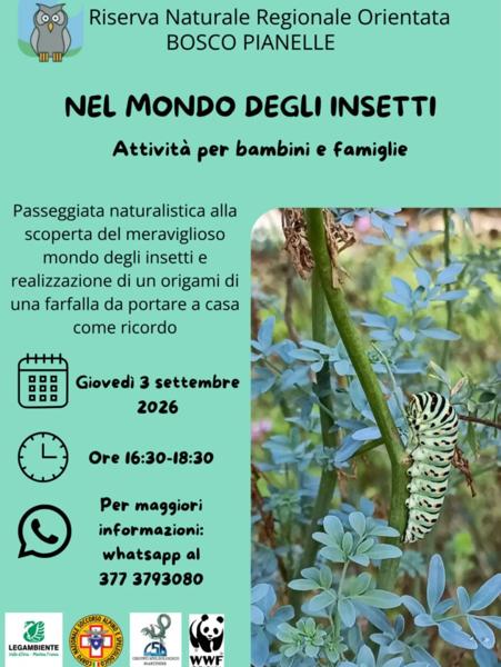 Nel mondo degli insetti