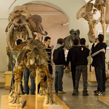 Museo di Storia Naturale, Antropologia e Etnologia