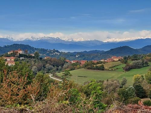 PoMonf Verde per Giovani: Musica tra le Orchidee
