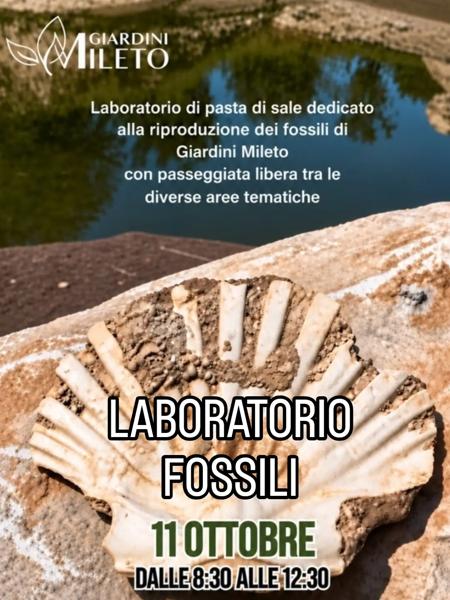 Laboratorio Fossili
