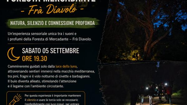 Trekking notturno nella foresta Mercadante - Frà Diavolo