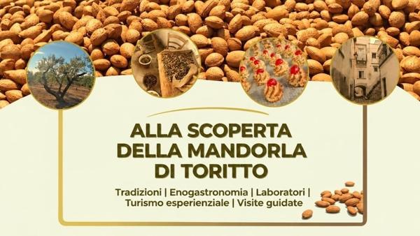 Alla scoperta della mandorla di Toritto