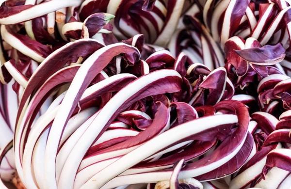 Mostra del Radicchio
