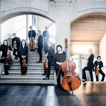 Camerata Bern / Lily Higson-Spence