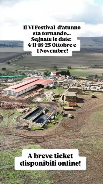 VI Festival d'atunno