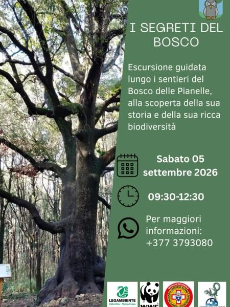I Segreti del Bosco