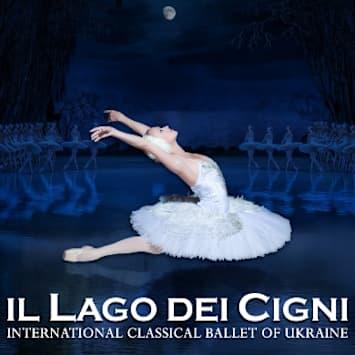 Il Lago dei Cigni
