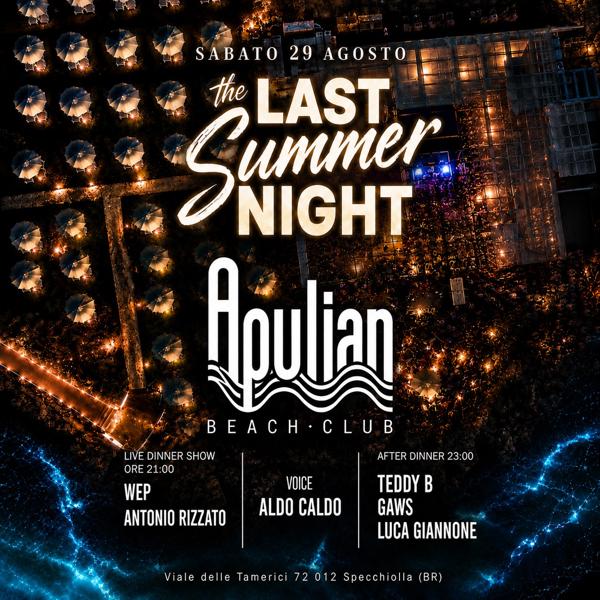 The Last Summer Night