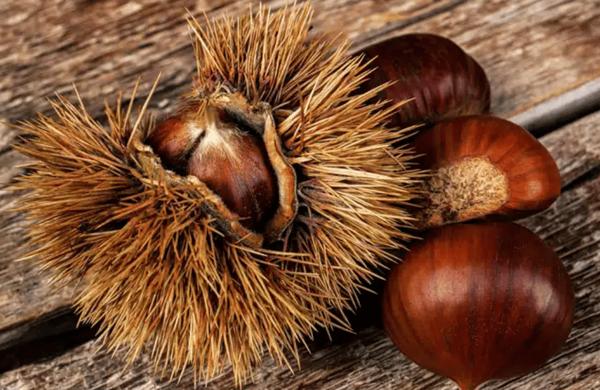 Sapori d'autunno