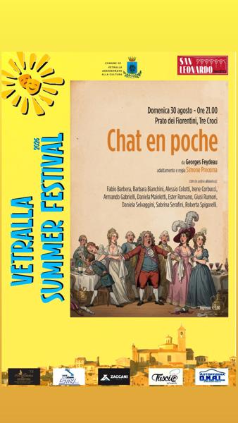 Chat en poche