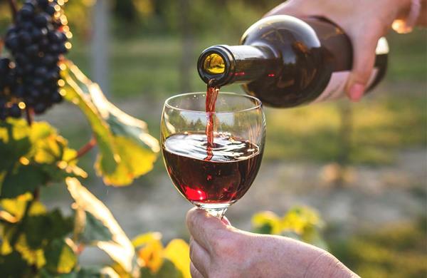 Novello al castello – Festa del vino