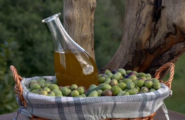 Festa dell’olio Seggiano