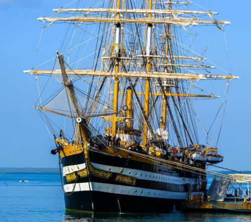Nave Amerigo Vespucci a Napoli