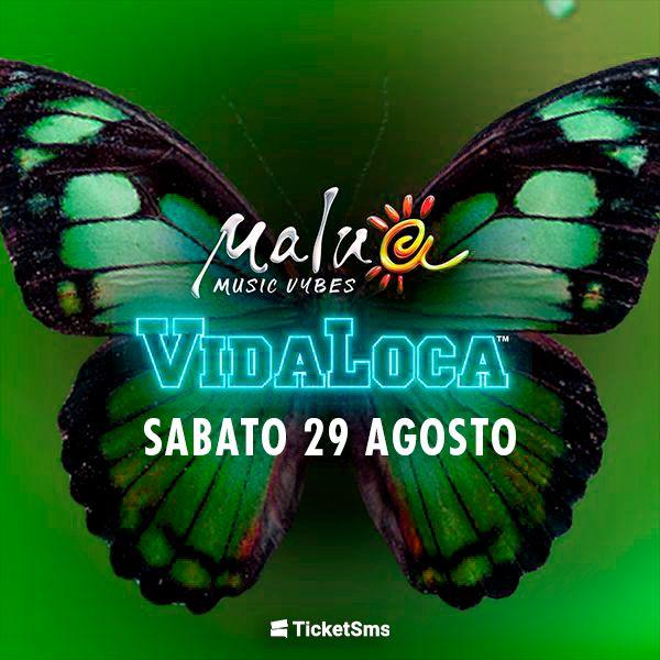 Vidaloca