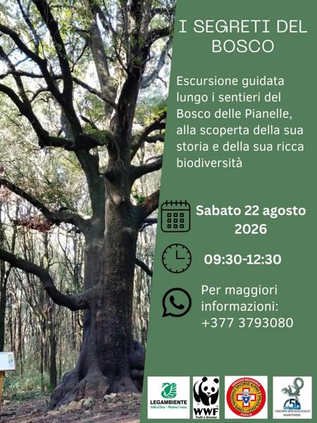 I Segreti del Bosco