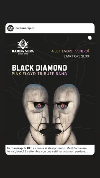 Black Diamond Pink Floyd Tribute Band