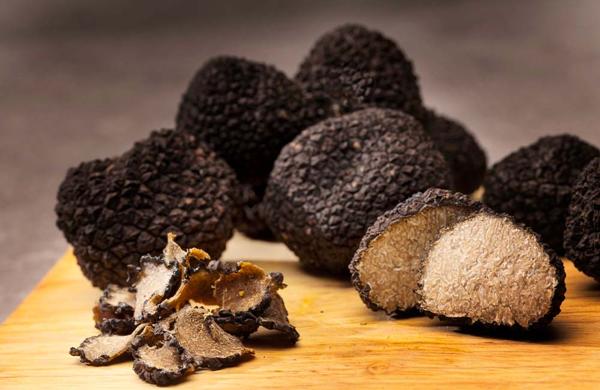 Festa del tartufo