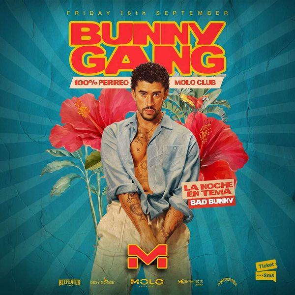 Bunny Gang