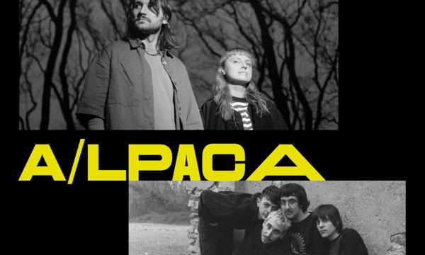 Gnoomes + a/lpaca