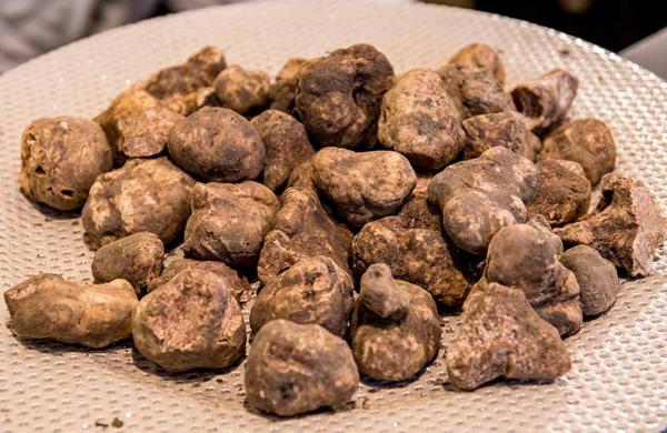 Fiera Internazionale del Tartufo Bianco di Acqualagna