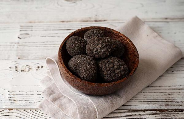 Sagra del tartufo