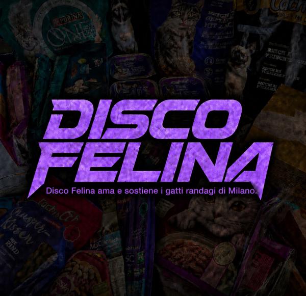 DISCO FELINA