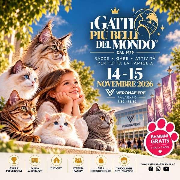 I Gatti Più Belli Del Mondo
