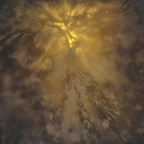 Helmut Schober. Luce e Movimento