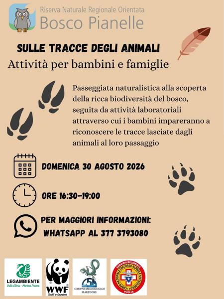 Sulle tracce degli animali