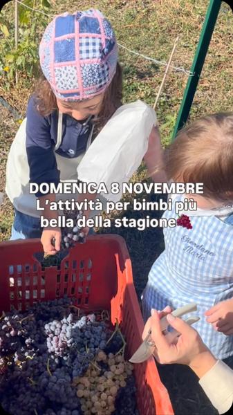Vendemmia per Bimbi